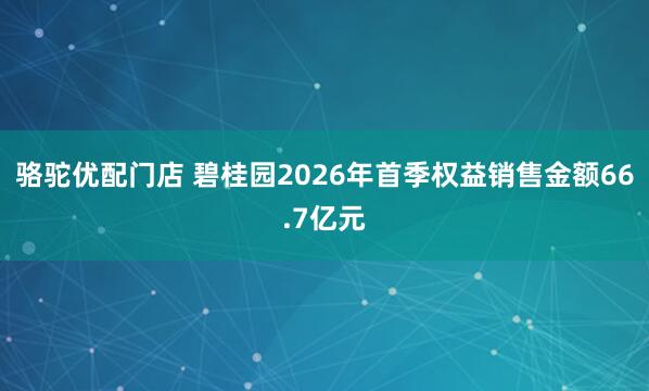 骆驼优配门店 碧桂园2026年首季权益销售金额66.7亿元