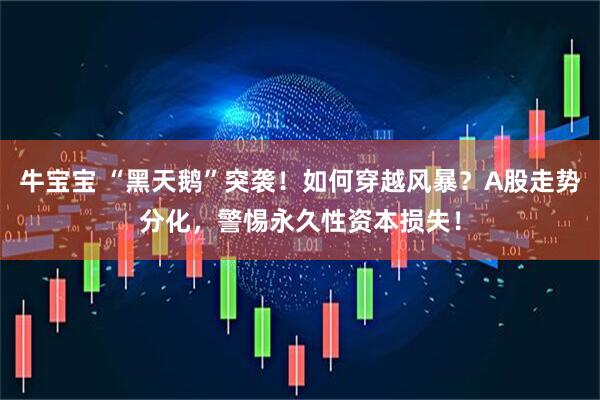 牛宝宝 “黑天鹅”突袭！如何穿越风暴？A股走势分化，警惕永久性资本损失！