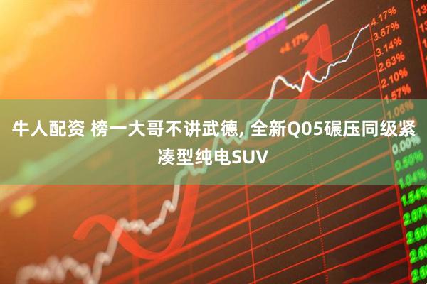 牛人配资 榜一大哥不讲武德, 全新Q05碾压同级紧凑型纯电SUV